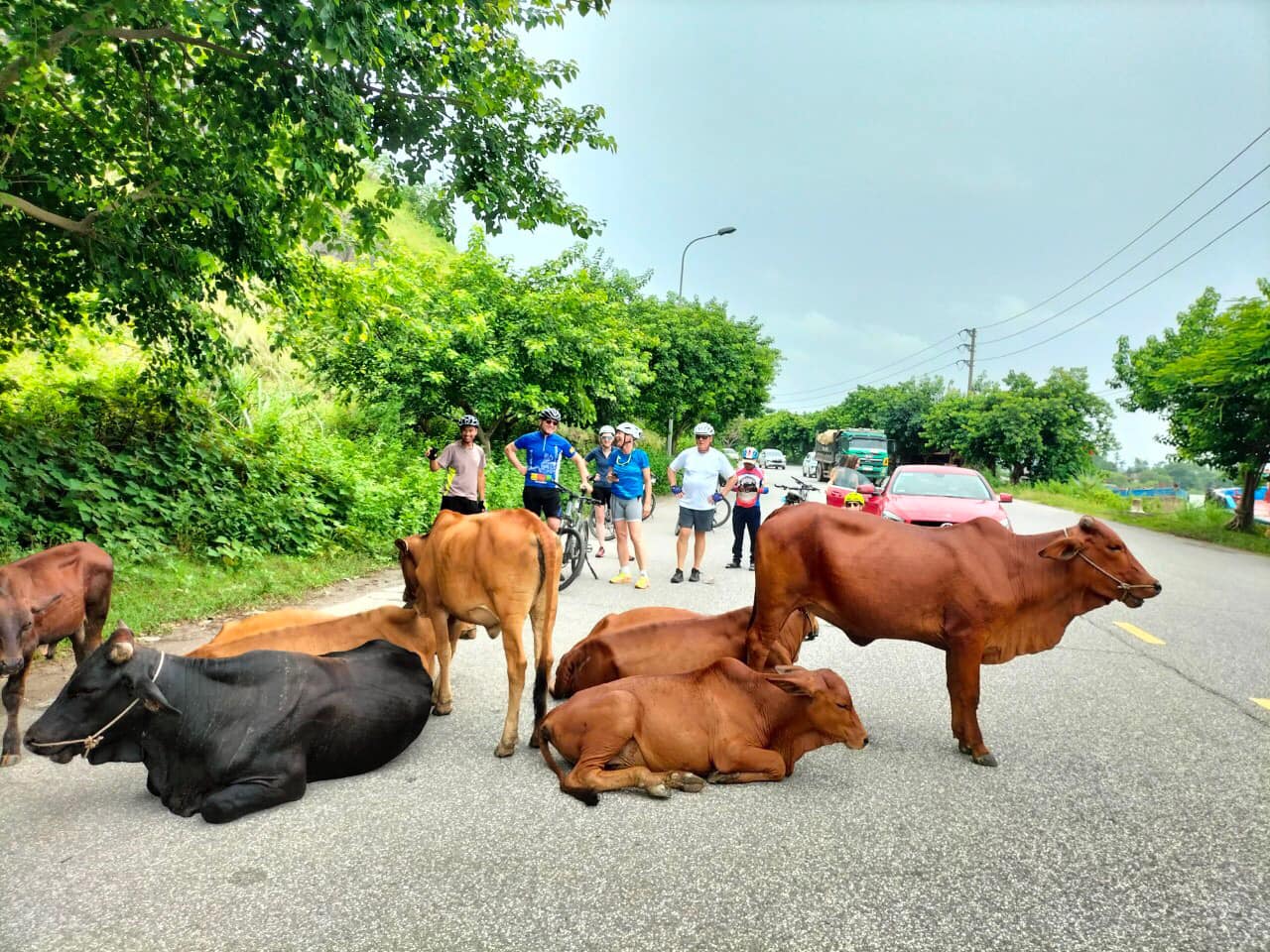 Vietnam Cycling Expedition: From Hanoi to Ca Mau 19 Days